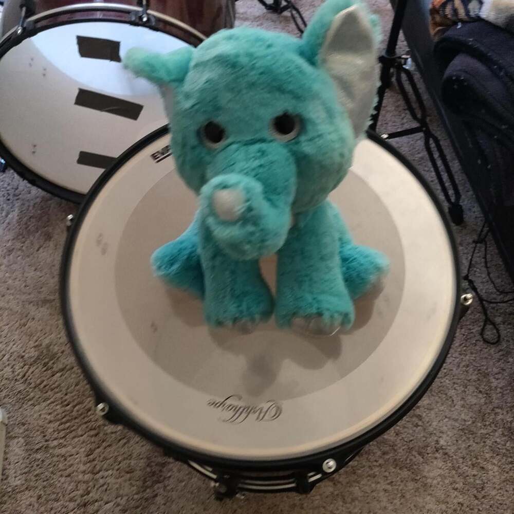 Blue and Green Stuffed-animals